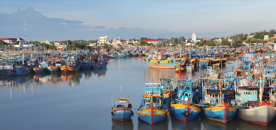 Đội tàu đông đúc neo đậu ở cảng cá thị xã La Gi Ảnh: Văn Minh 