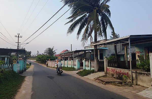 80% đất trồng cây lâu năm sát biển của xã biển Tam Thanh (TP Tam Kỳ, Quảng Nam) đã được người dân bán. Ảnh: Hoài Văn 