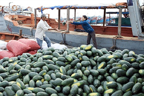Dưa hấu Việt Nam chủ yếu xuất sang Trung Quốc