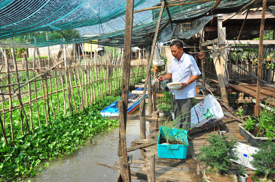  Ông Năm Cường cho cá ăn