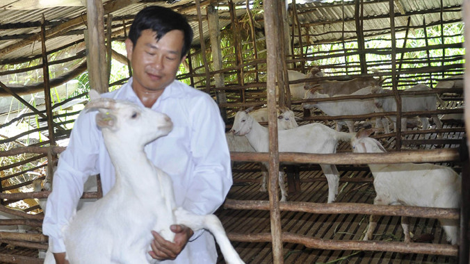 Anh Nguyễn Văn Đua bên đàn dê của mình. Ảnh: Hòa Hội.