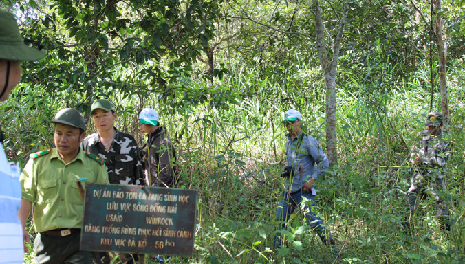 Khu vực rừng đã thiết kế dự án làm đường