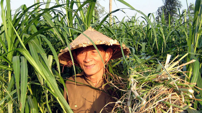 Anh hùng Hồ Giáo.