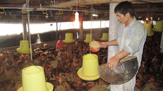 Chăn nuôi là lĩnh vực rất dễ bị “tổn thương”.