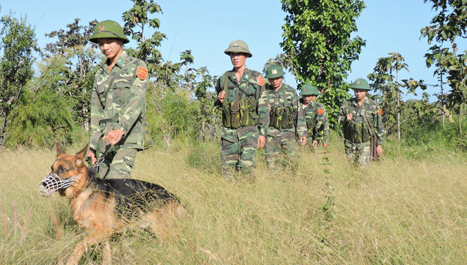 Tuần tra biên giới.