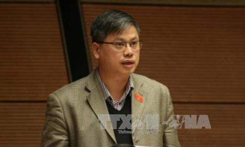 Đại biểu Nguyễn Sỹ Cương phát biểu thảo luận về Luật về hội. Ảnh: TTXVN