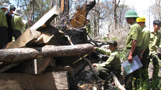 Cơ quan chức năng khám nghiệm hiện trường vụ xẻ thịt Pơmu.