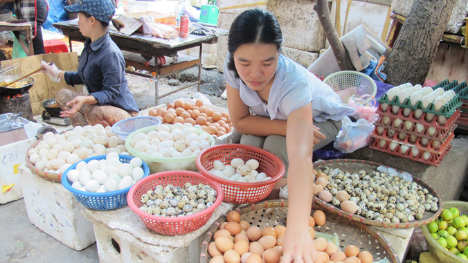 Màu thịt, trứng gia cầm bắt mắt, một phần do chất phụ gia tạo màu được trộn trong quá trình sản xuất cám. Ảnh: Phạm Anh.