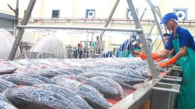 Lao động nữ trong ngành thủy sản chiếm đến 80%.