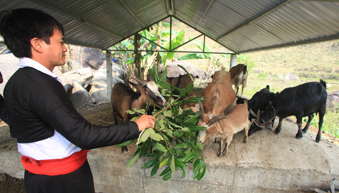 Tây Bắc: 2,6 triệu lượt hộ nghèo và chính sách được vay vốn