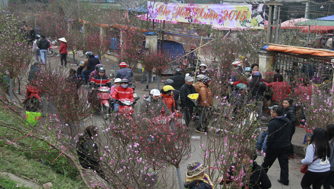 Chợ hoa Quảng An dịp Tết. Ảnh: Trường Phong.