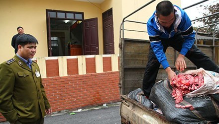 Phát hiện hơn nửa tấn nội tạng bò thối