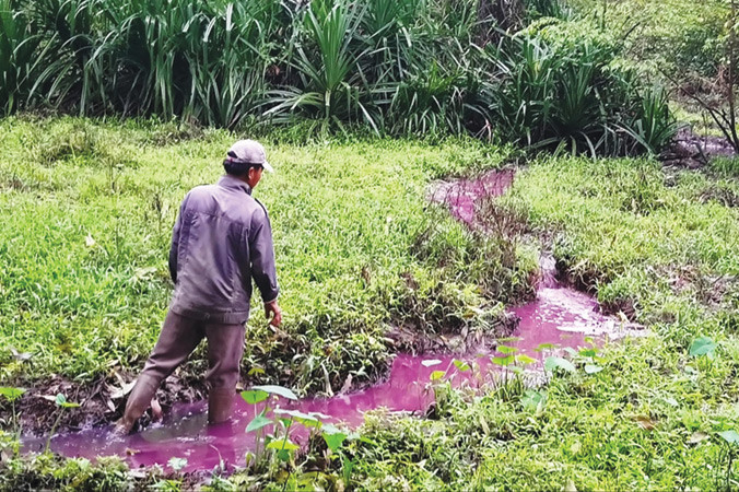 Nước kênh tưới chuyển màu đỏ bất thường