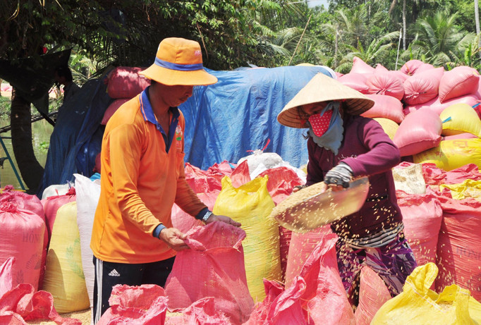 Cởi trói xuất khẩu gạo, chưa xóa hết nhóm lợi ích