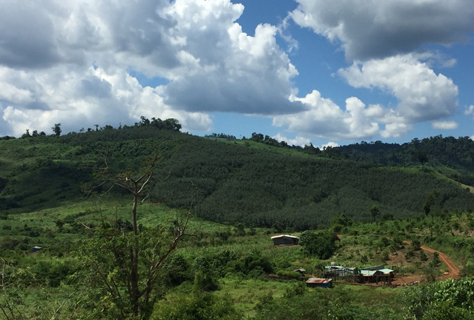 Cả quả đồi ở buôn Đing Đu được giao khoán cho gia đình nhiều cán bộ tỉnh Đắk Nông.