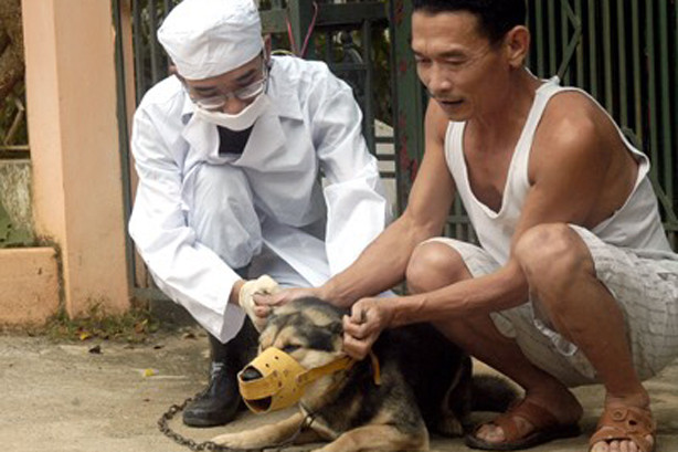 Tiêm vắc-xin phòng dại.