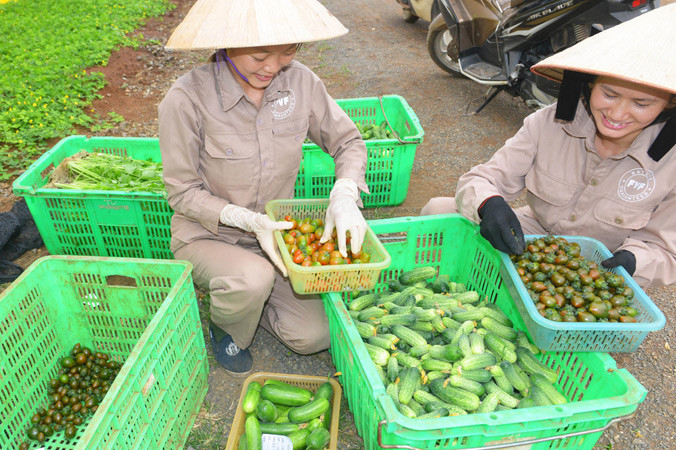 Rau quả hữu cơ rất ngon lành.
