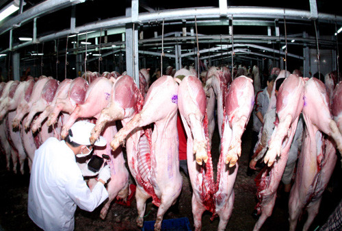 Bộ Nông nghiệp yêu cầu siết quản lý thuốc an thần tại lò mổ