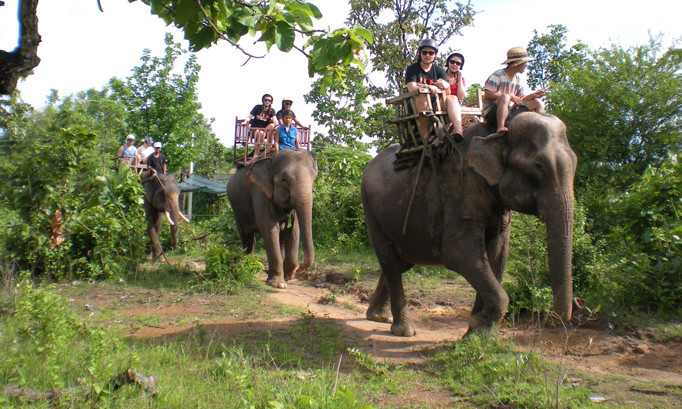 Du khách tham quan Vườn Quốc gia Yok Đôn, Đắk Lắk. Ảnh: Minh Châu.