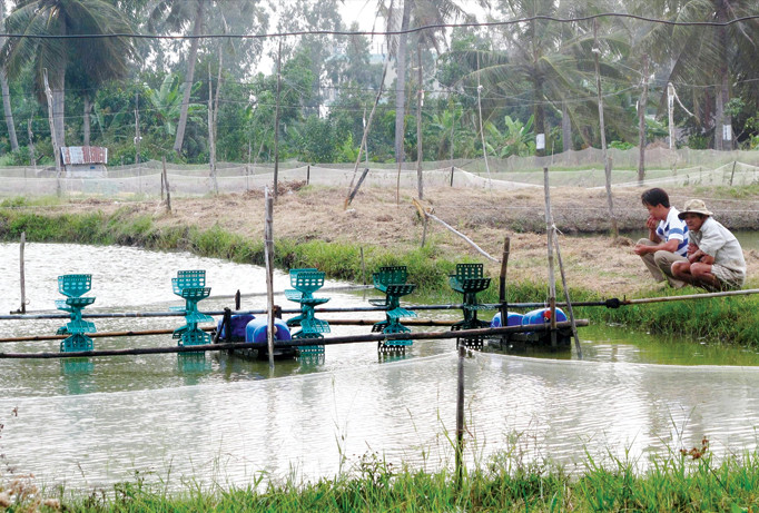 Báo động về tai nạn điện sinh hoạt