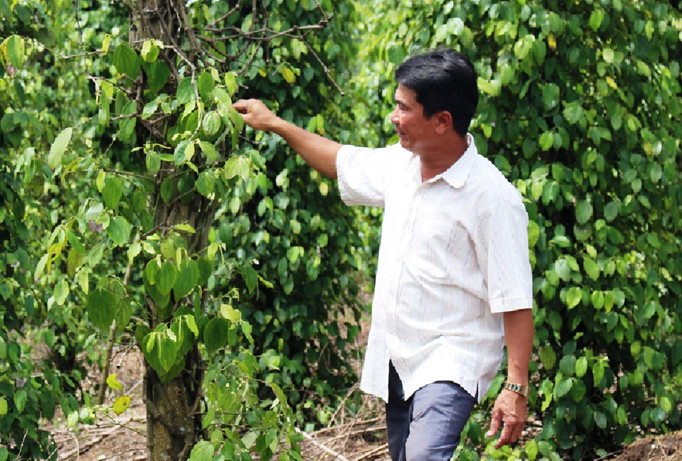 Ai dẹp 'loạn phân bón' giúp nông dân?