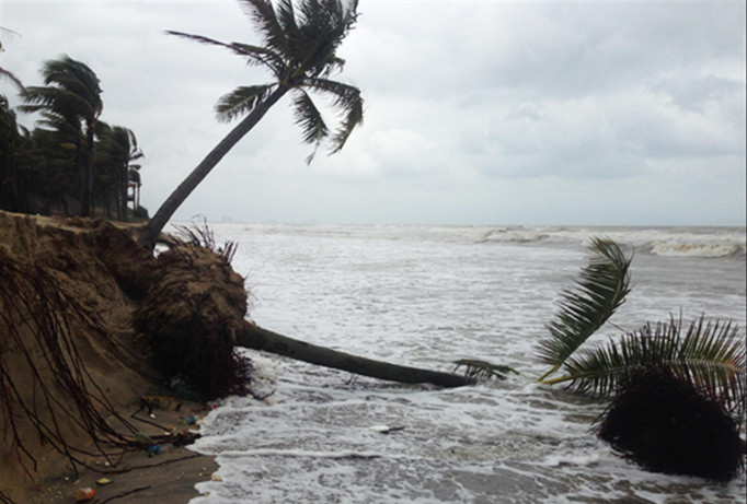 Mưa gió gây sạt lở tại bờ biển Cửa Đại.