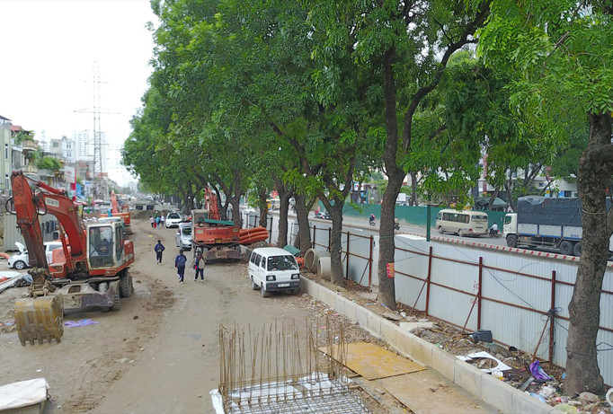 Hà Nội: Bắt đầu chặt hạ, di dời 1.300 cây xanh