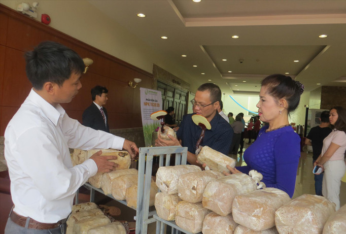 Làm nông đâu chỉ dựa vào công nghệ cao