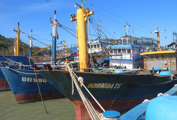 Dự kiến đầu tháng 11 tới, các tàu cá bị hư hỏng sẽ được sửa chữa, khắc phục xong để hạ thủy, vươn khơi.