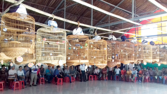 Chiêu độc đánh bại “thánh cám nhái”