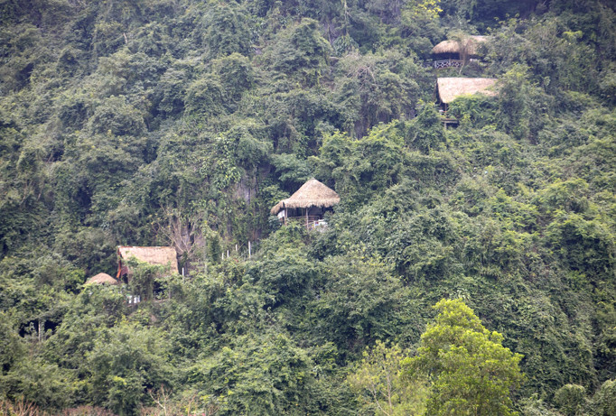 Kiến nghị ngừng làm cáp treo tại vùng lõi Phong Nha -Kẻ Bàng