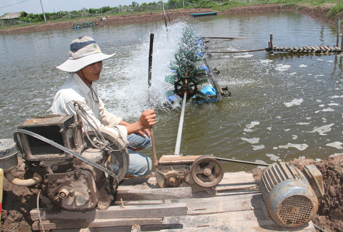Báo động về tai nạn điện sinh hoạt: Nỗ lực ngăn chặn