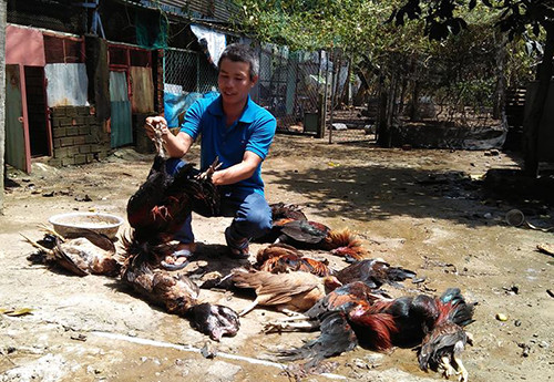 Sơ tán gần 1.200 người vì rò rỉ amoniac