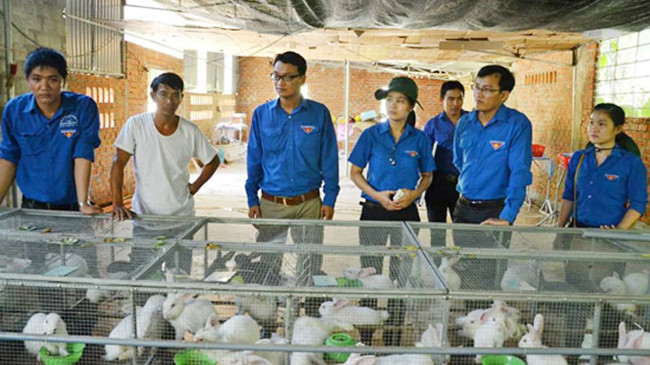 Một mô hình thanh niên khởi nghiệp từ vay vốn của Đoàn.