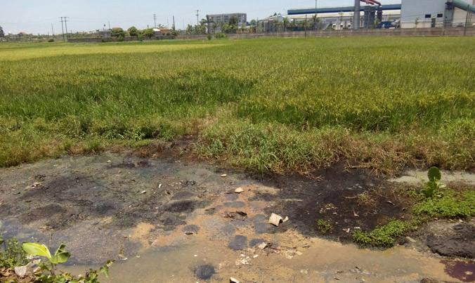 Chất thải đổ trộm tại ruộng lúa của người dân được Chủ tịch xã Lai Vu cho là có nguồn gốc từ KCN Lai Vu. Ảnh: Minh Đức.