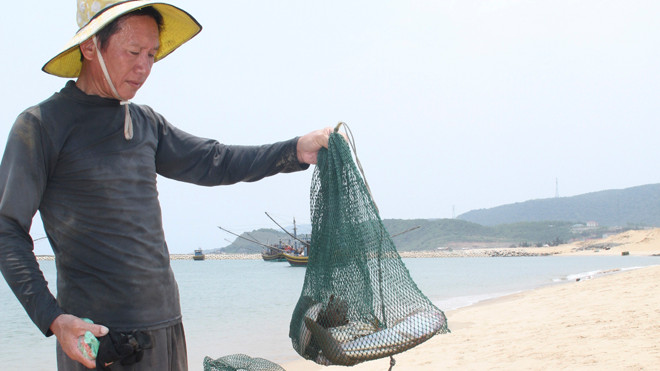 Người dân với những mẻ cá chết tại bãi biển gần nhà máy Formosa. Ảnh: Minh Thùy.