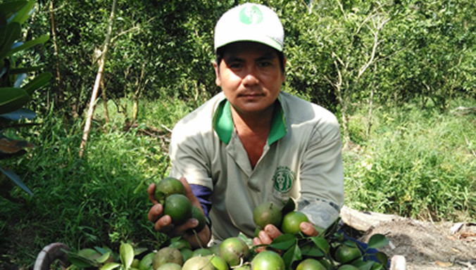 Anh Trần Phúc Ngoan cạnh quýt vừa hái xong. Ảnh: Hòa Hội.