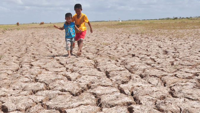 Đồng ruộng khô cằn vì hạn và mặn ở Bến Tre. Ảnh: Hòa Hội.