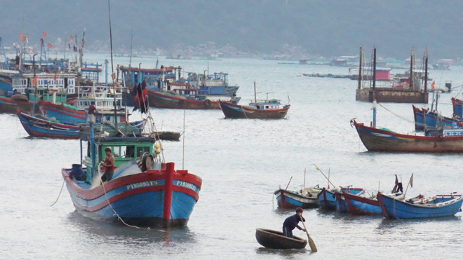 Số lượng chủ tàu cá mua bảo hiểm đông đảo nhưng số tàu cá bị chìm không nhiều, số tàu cá được nhận bảo hiểm càng hy hữu.