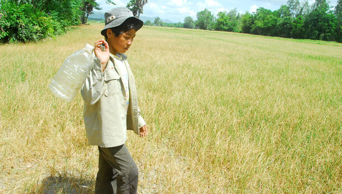 Cánh đồng khô hạn ở xã Vĩnh Phước (Tri Tôn, An Giang). Ảnh: Lê Hoàng Vũ.