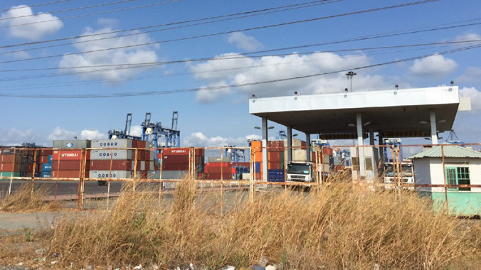 Lối ra vào một cụm cảng cỏ mọc ngang hông.