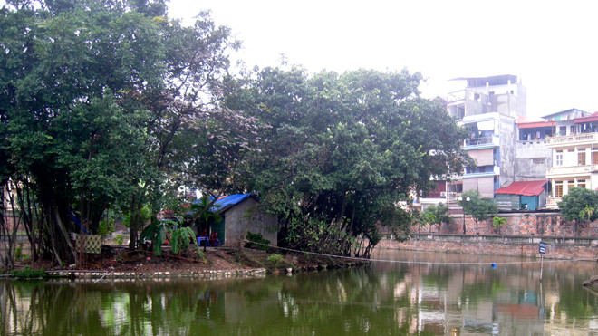 Cơ quan chức năng phong tỏa phương tiện, vật liệu của một số người lén lút xây điện thờ trên gò Kim Châu, hồ Văn. Ảnh: Như Ý.