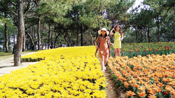 Tham quan vườn hoa của Cty CNSH Rừng hoa Đà lạt.