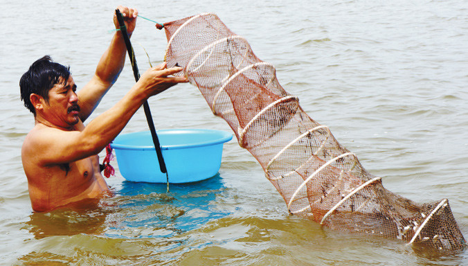 Hai Hùng dỡ lú bắt tôm cá trên đầm Thị Tường.