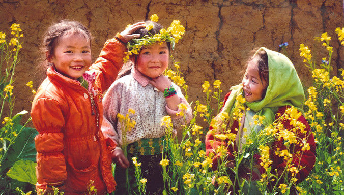 Vòng nguyệt quế tháng Ba. Ảnh: Tiến Thành.