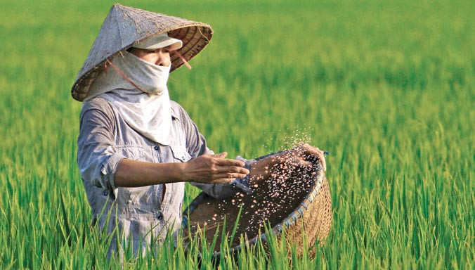 Vấn nạn phân bón giả, phân bón kém chất lượng đang gây thiệt hại không nhỏ cho người nông dân, phá hoại nền nông nghiệp nước nhà. Ảnh: Như Ý.