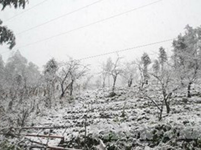 Miền Bắc: Rét hại đến hết 27/1