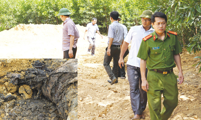 Sau khi lấy mẫu, lực lượng chức năng chỉ đạo tạm thời san lấp số chất thải này, khi có kết quả sẽ chỉ đạo xử ly (ảnh lớn); Chất thải được chất thành đống tại trang trại của gia đình ông Giám đốc Cty MTKA (ảnh nhỏ). Ảnh: Minh Thùy.