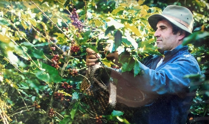 Pierre Morère trong vườn cà phê.