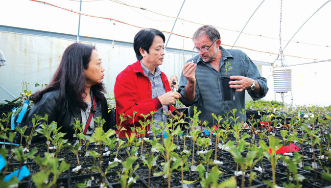 Người Úc nói về cơ hội trồng mắc ca ở Việt Nam